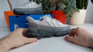 Adidas Ozweego Tr.