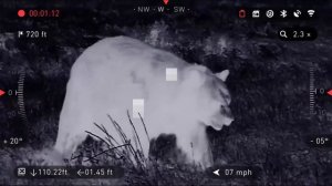 Best Binocular - American Technology Network Corp. ATN BinoX 4T Thermal Binocular Laser Range Finde