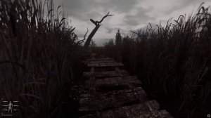 Stalker Anomaly Gamma | Первое прохождение