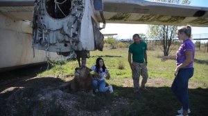 Девушка дрожит от страха и еле выходит из самолета ...