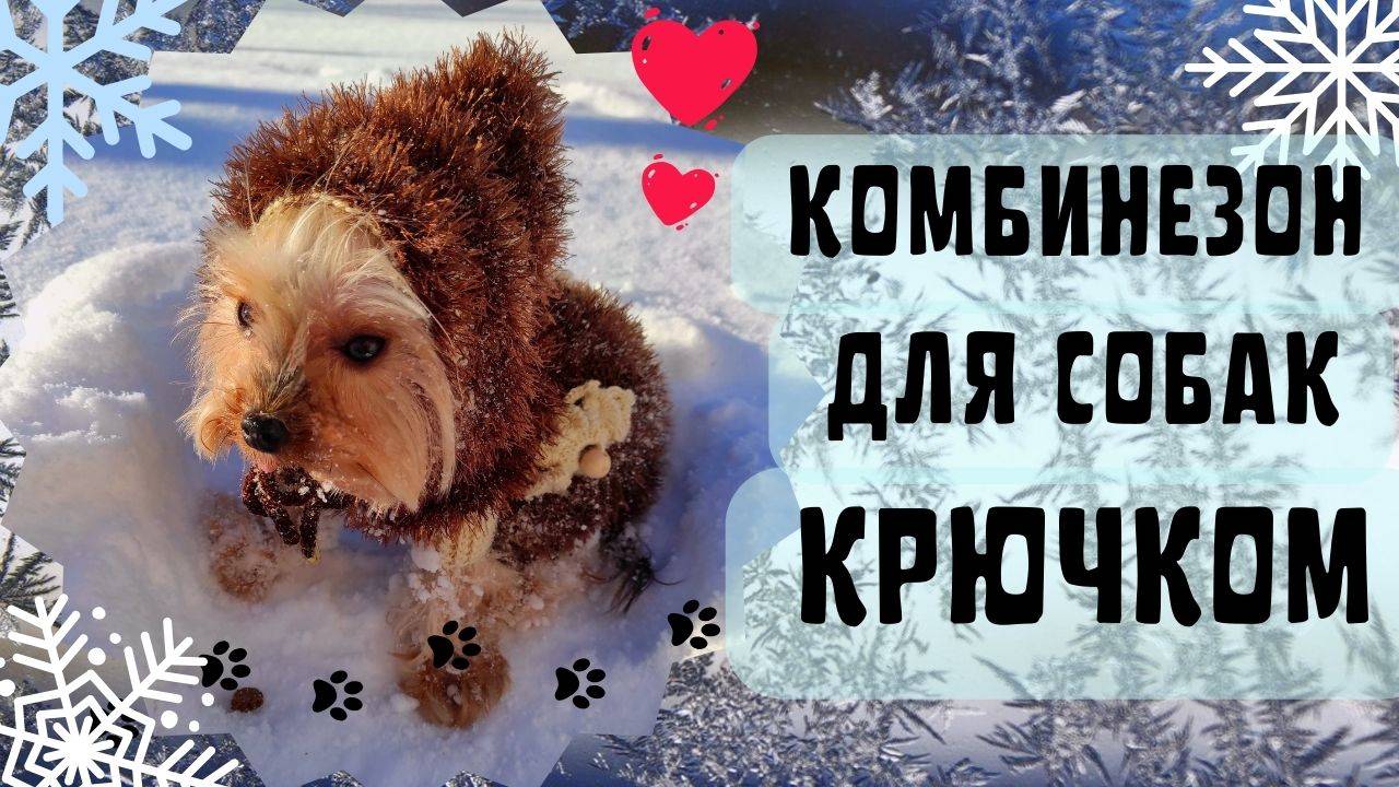Комбинезон для собак с закрытыми лапами вяжем крючком