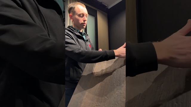 Алюминиевая дверь с декоративными панелями