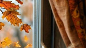 Доброго Дня - Доброго дня отличного настроения