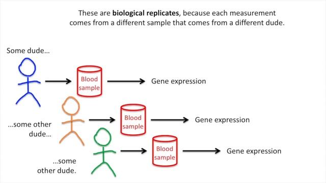 The Difference Between Technical and Biological Replicates смотреть онлайн