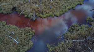 Соляристика | Солярис Тарковский