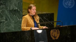 Statement by Ms. Maria Zabolotskaya on the IRMCT report