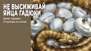 Не высиживай яйца гадюки | Денис Самарин