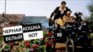 Черная кошка, белый кот (1998)