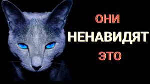 14 вещей, которые кошки обычно ненавидят.
#топыкатегорий