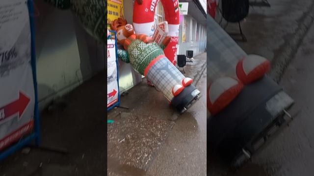 Лось упал!