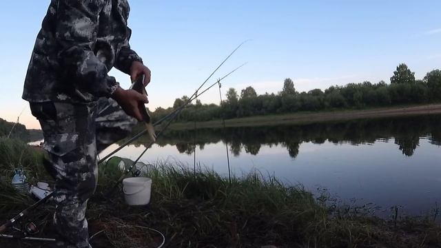 Рыбалка на леща в начале июля на реке Сысола
