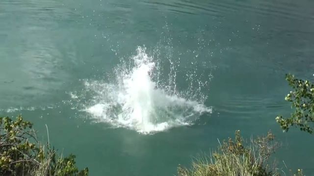 She likes to jump смотреть онлайн