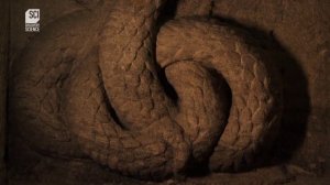 Александрийский Маяк !