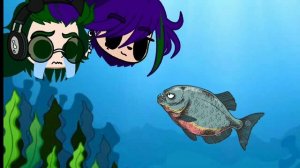 ИСТОРИЯ ПИРАНЬИ