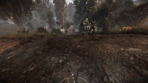 S T A L K E R   Anomaly Dynahud - Dynamic Companion Hud