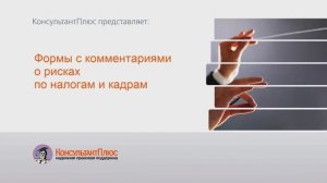 Формы с комментариями о рисках по налогам и кадрам