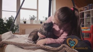 Социальная реклама "Забери меня домой"