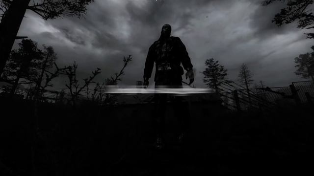 Stalker MISERY 2.0 teaser: The Hunter смотреть онлайн