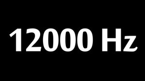 Месть соседям высокочастотный звук 12000 герц 4 часа для соседей