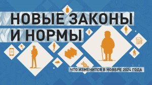 Увеличение пенсий и соцвыплат, новые тарифы СБП: что изменится в ноябре 2024 года
