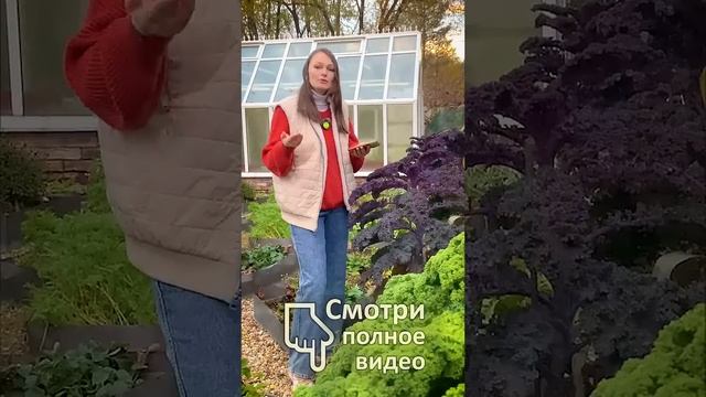 НЕ ПЕРЕБОРЩИ! Органические удобрения НЕ ВСЕ ТАК ПРОСТО