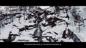 черное золото вся правда в песне ярмак