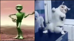 Зелёный человечек танцует, кот угорает!