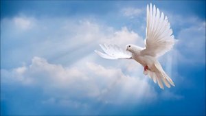 Настал конец его беспутной жизни - Христианский Стих