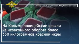 На Колыме полицейские изъяли из незаконного оборота более 350 килограммов красной икры