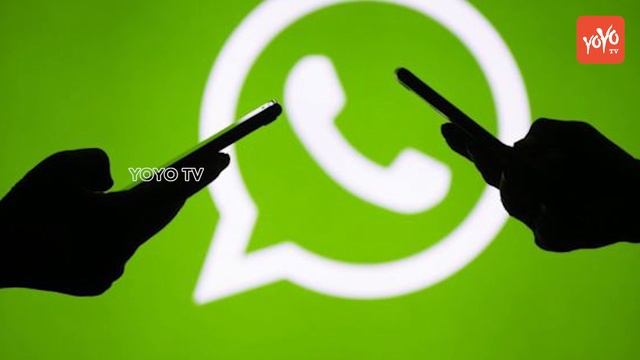 Whatsapp Stopped Working | Play Store | Google | Android | IOS | YOYO TV Channel смотреть онлайн