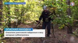 Спасател уничтожили найденные в лесу западные суббоеприпасы