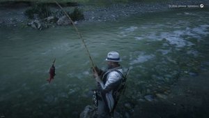 RDO Лосось, Цветок ванили, Ежедневные задания RDR2