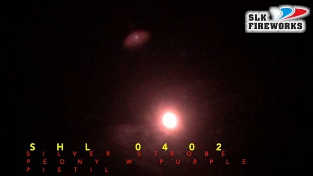 4" SHL0402 SILVER STROBE PEONY W PURPLE PISTIL смотреть онлайн