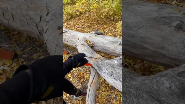 Ручная цепная пила в действии 😎👍 #shorts