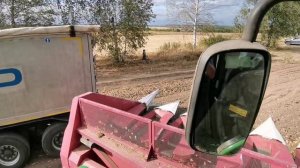 Уборка участка гибридизации подсолнечника, 2020