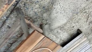 я снова у папы