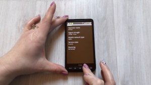 HTC HD2(HTC LEO) 2009 Year Incoming call + Phone Review