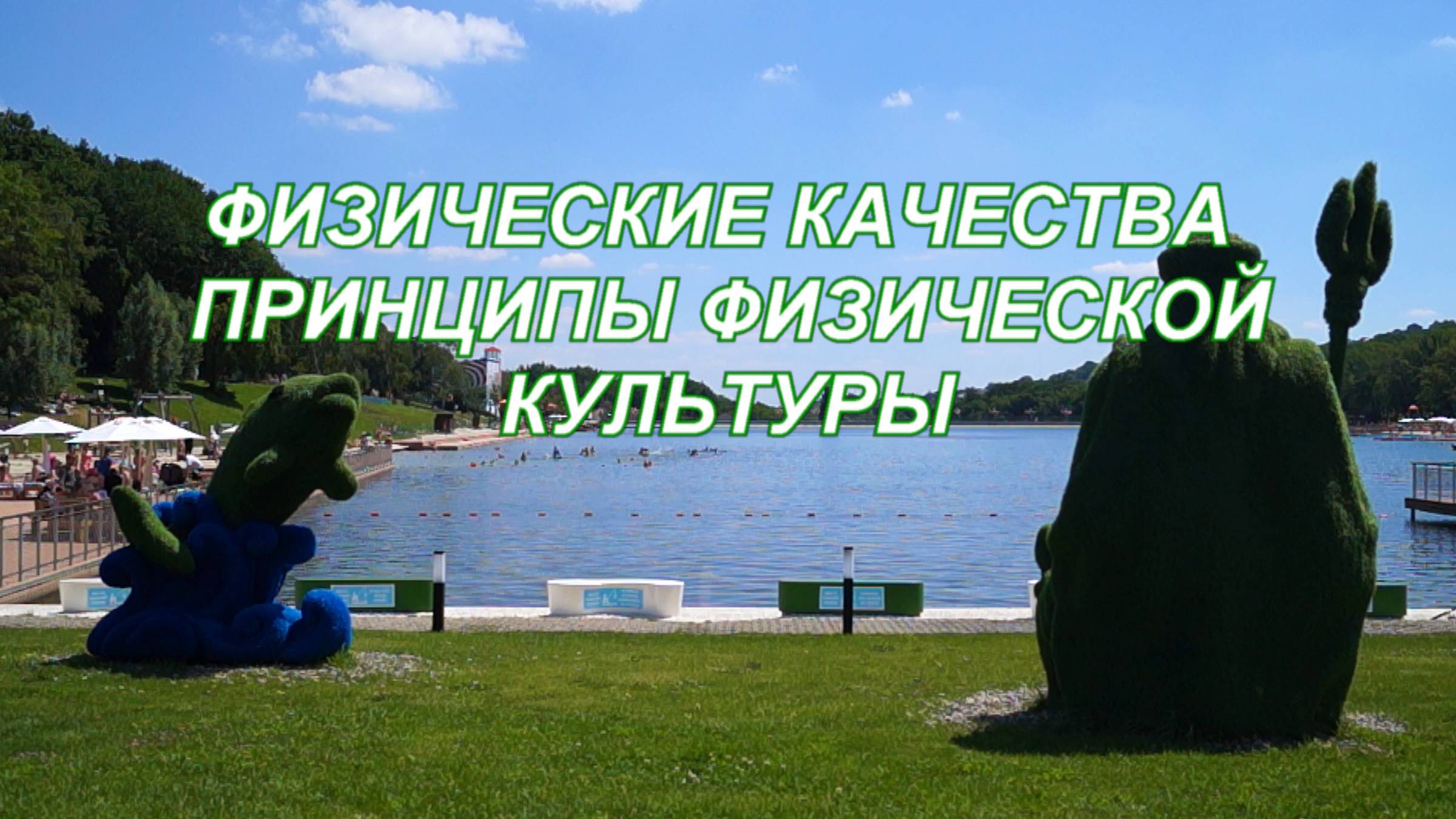 ВидеоФизра #15 Физические качества. Принципы физической культуры