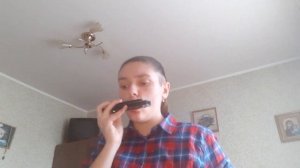 Game of thrones on the harmonica/Игра престолов на губной гармошке