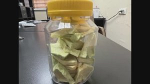 Дыня, груша конференция, баклажан, яблоко - сублимация без изменения объема