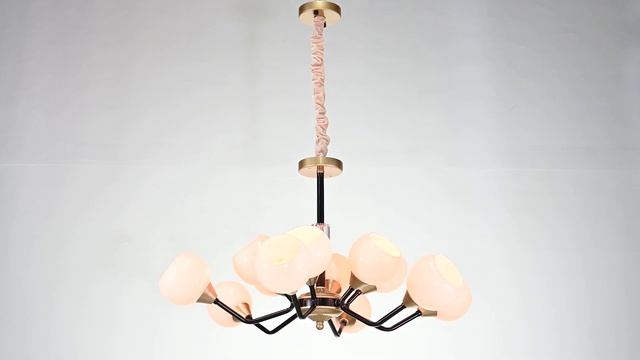 Подвесная люстра Favourite 2550-12P - видеообзор смотреть онлайн