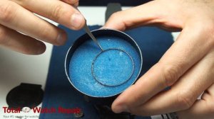 Luminox 8800 Series Battery Replacement