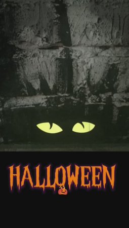 Halloween costumes
🎃🎃🎃🎃🎃