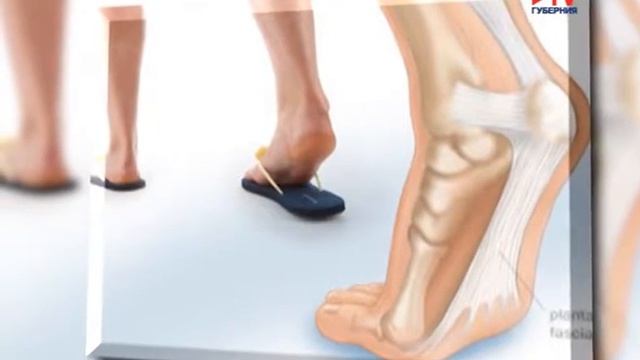 Тв губерния День вместе Ортопед смотреть онлайн