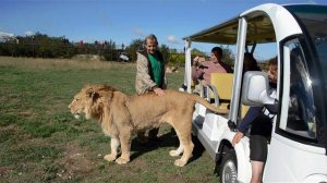 Лев  Филя :'Доброе утро ,дядьку  !'