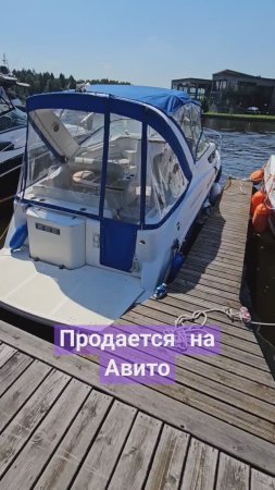 Самый популярный катер в Америке Bayliner 285 #катер #купитькатер