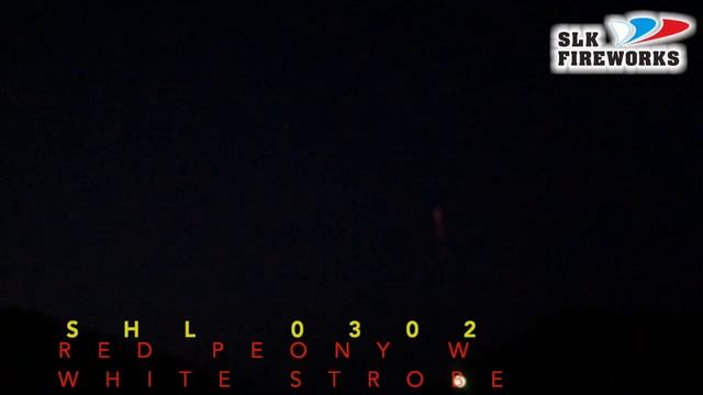 3" SHL0302 RED PEONY W WHITE STROBE PISTIL смотреть онлайн