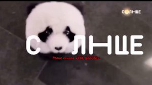Анонсы и заставки канала «Солнце»