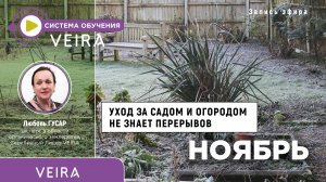 Уход за садом и огородом не знает перерывов. НОЯБРЬ