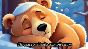 Почему медведь зимой спит